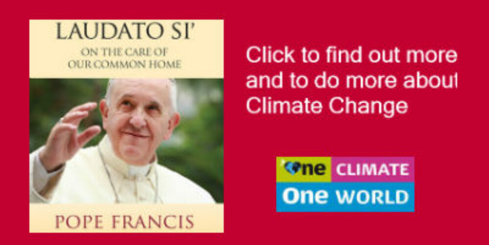 picture of front page of Laudato Si encyclical