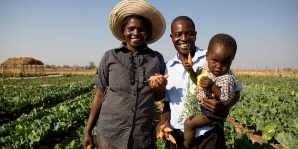 Zimbabwean family in front of crops