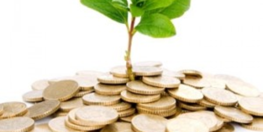 photo of young plant growing out of a pile of coins