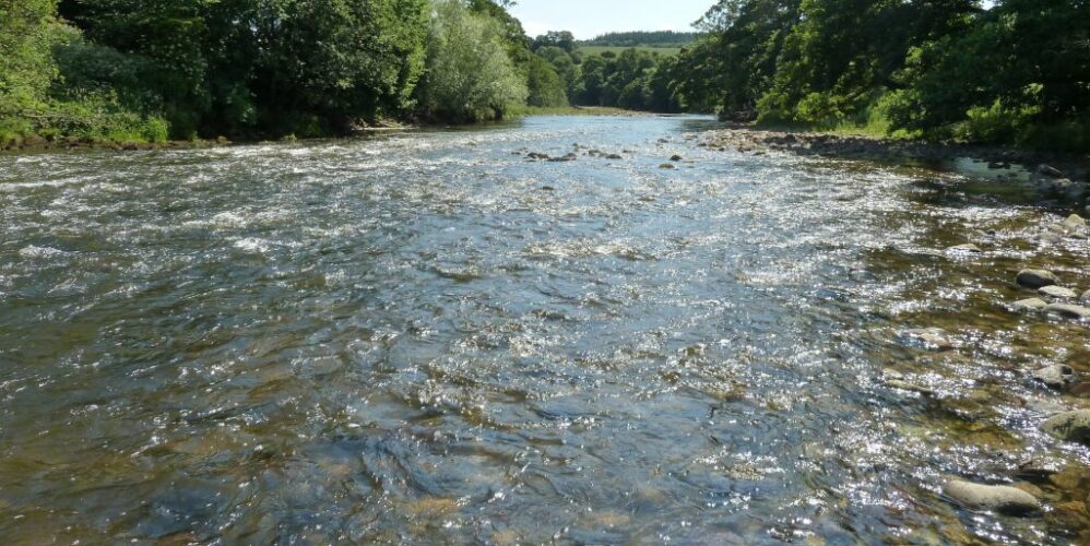 a river in Yorkshire