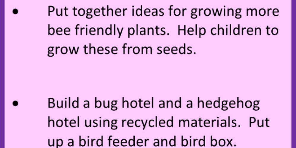 ideas about flora and fauna