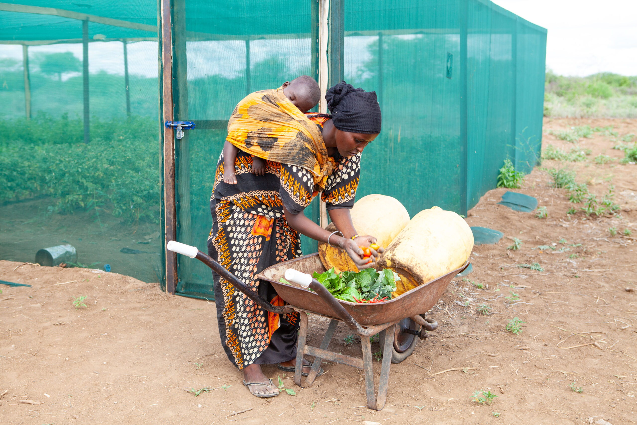 Lokho harvests vegetables to cook lunch for her children.